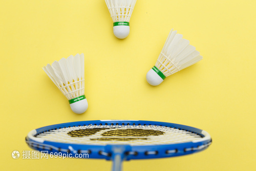 曼奇尼与布 曼奇尼与布