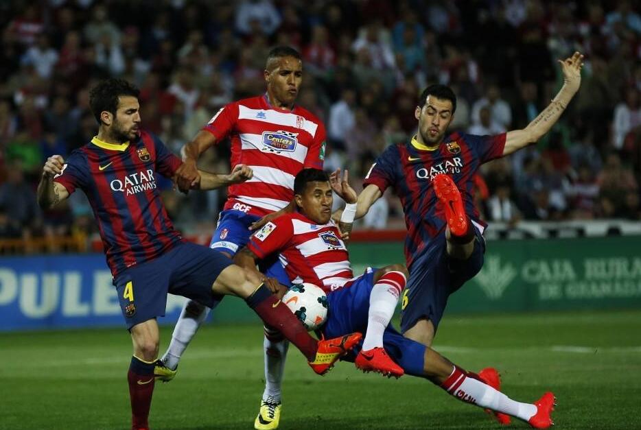 性的青训合 性的青训合