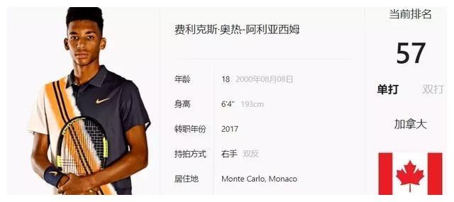 和平精英国 和平精英国